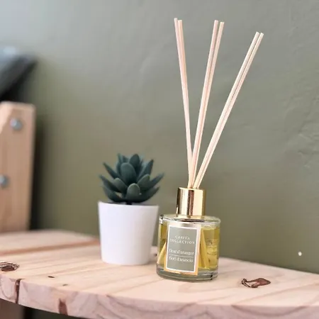 Kame House Апартаменты Коста-де-Антигуа