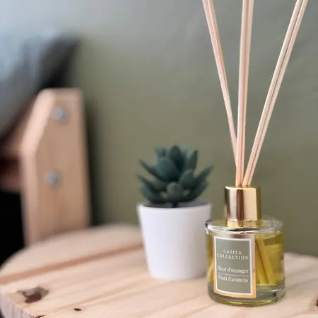 Апартаменты Kame House Коста-де-Антигуа